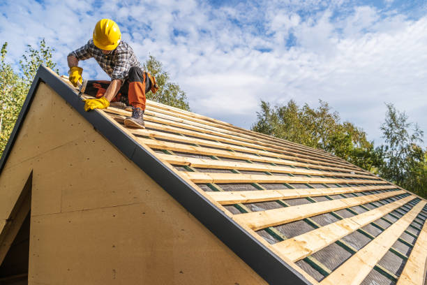 Best Roof Gutter Cleaning  in Riner, VA